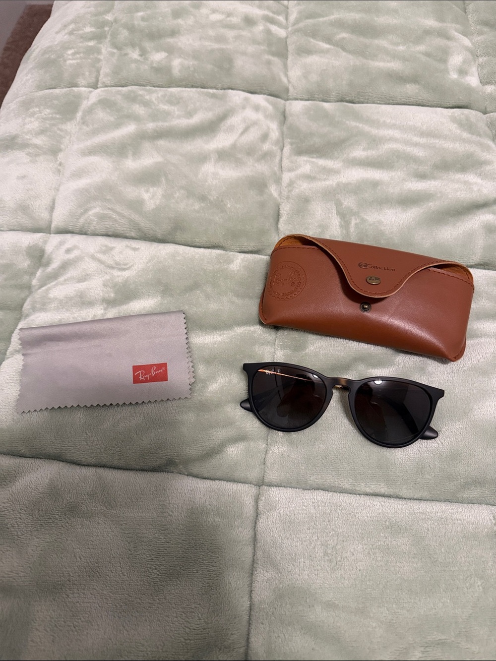 Ray Ban Erika Brown sunglasses